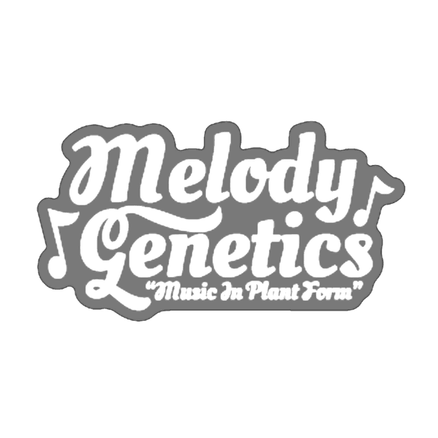 brand img for melody